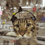 DJ Le chat
